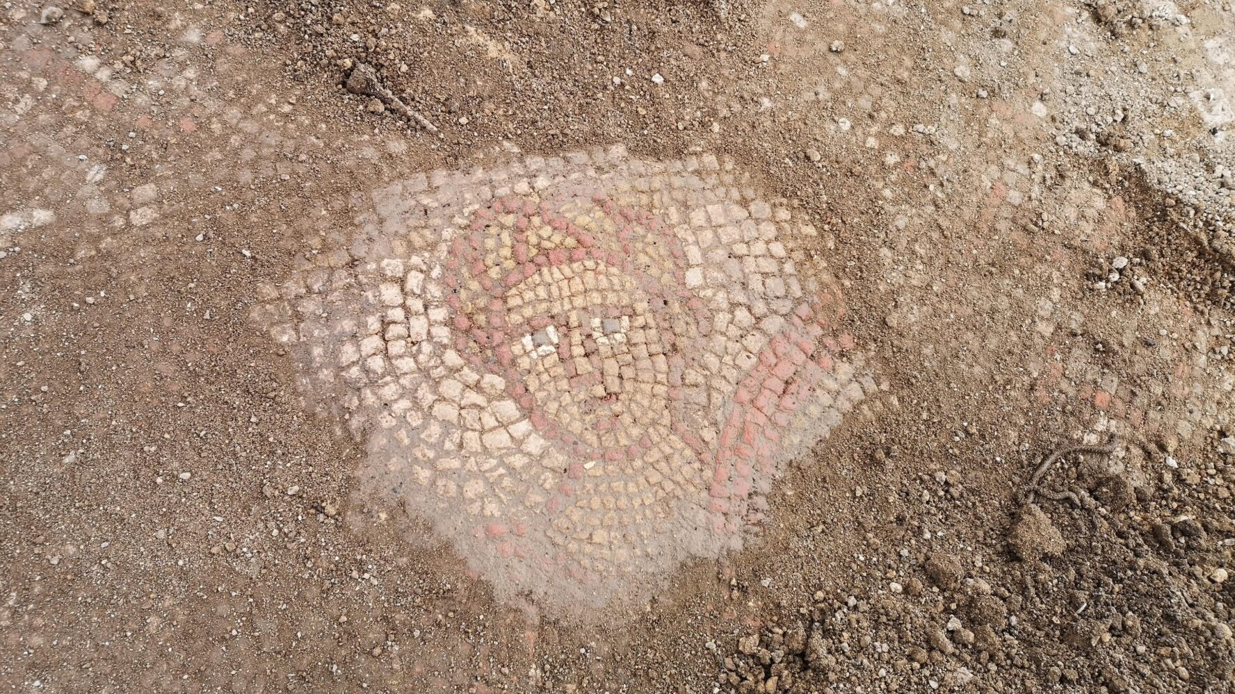 Part of a Roman mosaic, showing the face of a person in sandy red, white and yellow tiles.