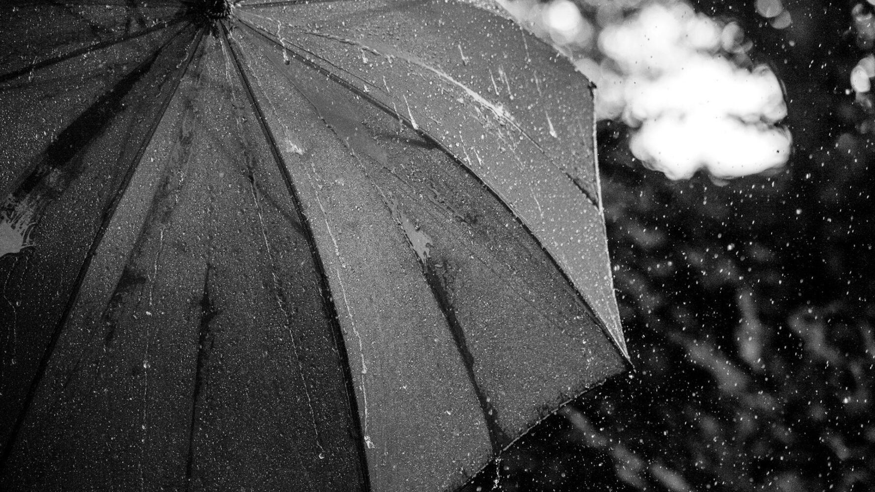 Black and white image of an umbrella with rain falling onto it