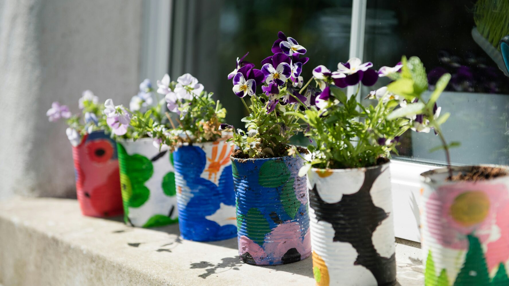 Six colourful plant pots on a windowsill made from upcycled tin cans