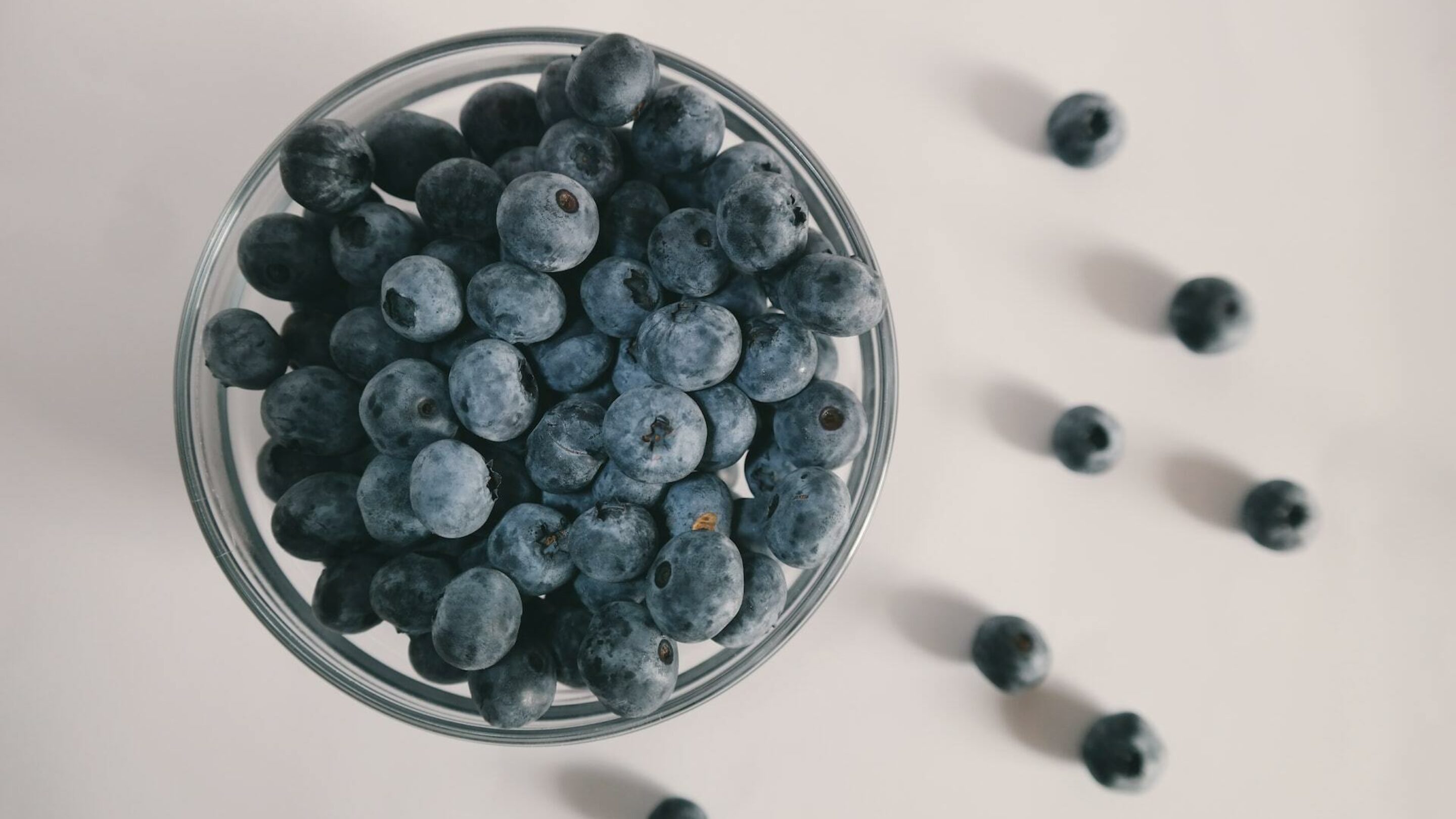 Bowl of blueberries