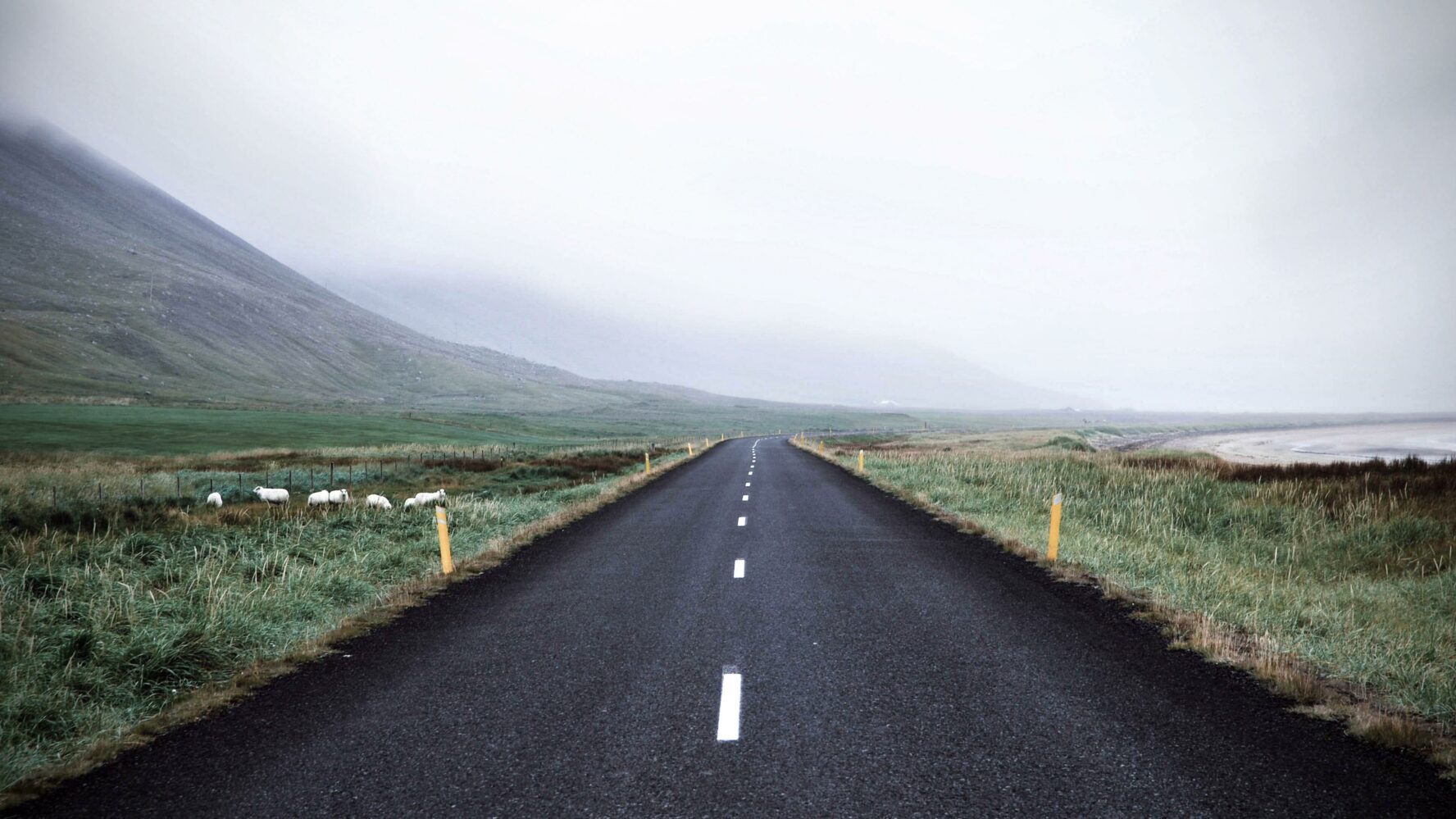 A road leading into mountains cloaked in mist.