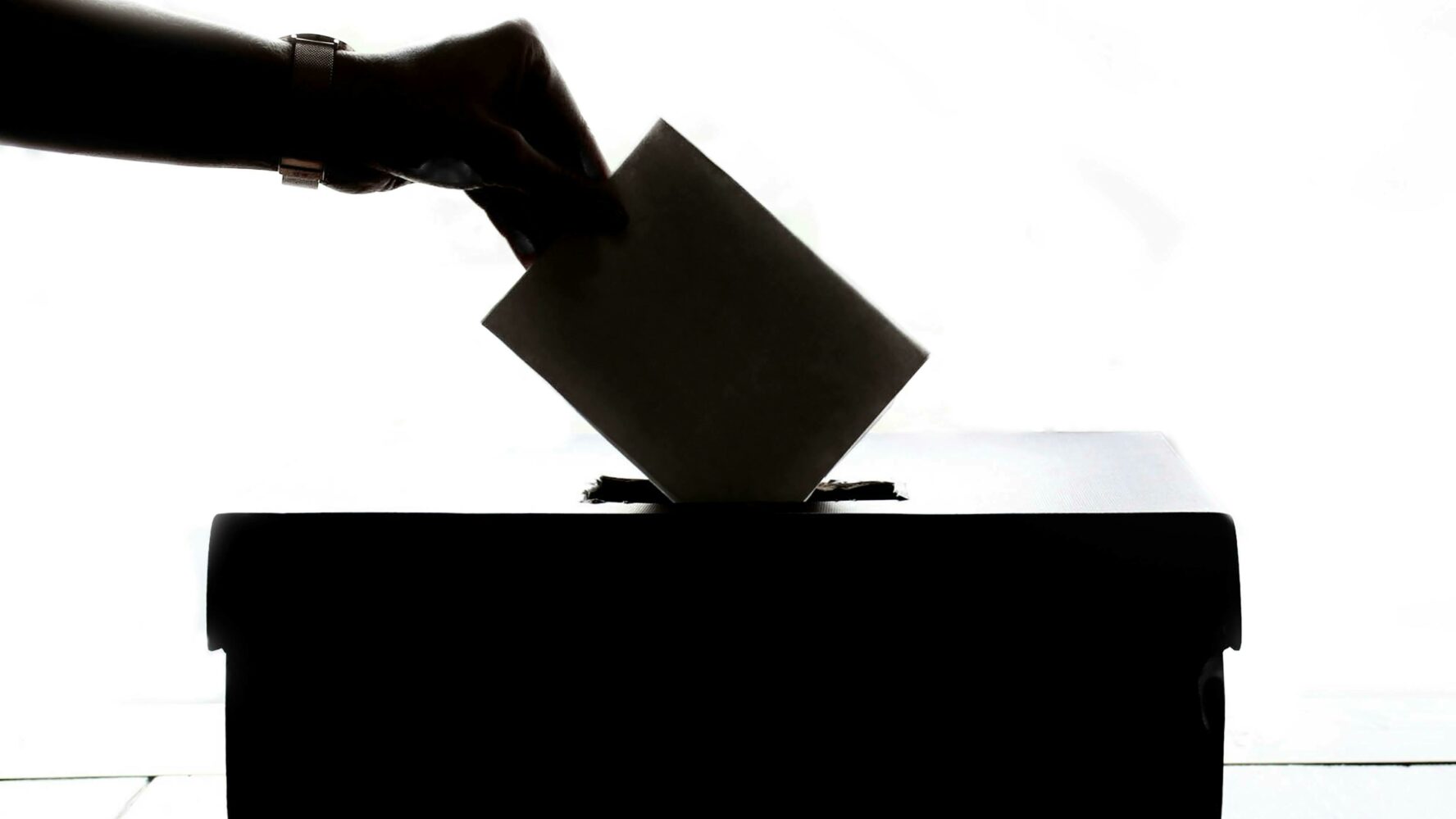 voter